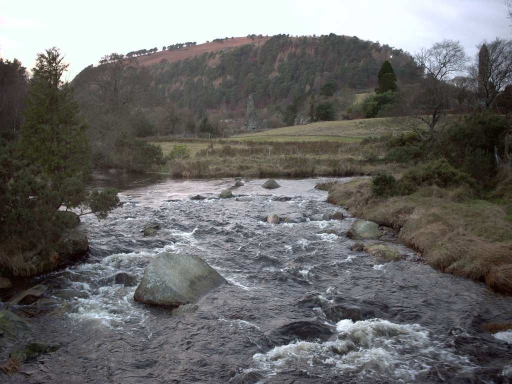 Kolinkes Homepage Studium in Dublin